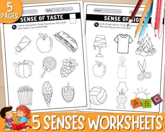 My five senses activities worksheets senses coloring sheets kindergarten five senses activity sheets printable preschool prek pdf