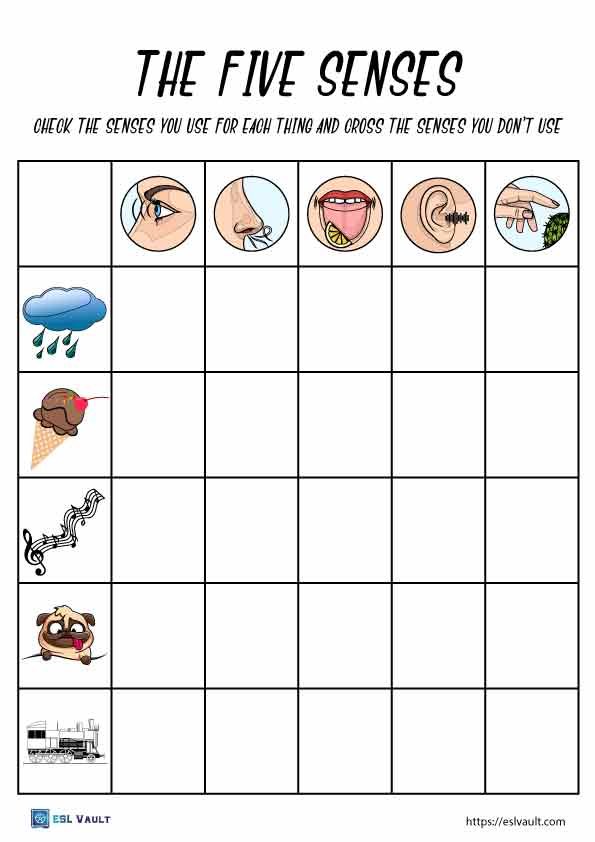 Free five senses worksheets and activities