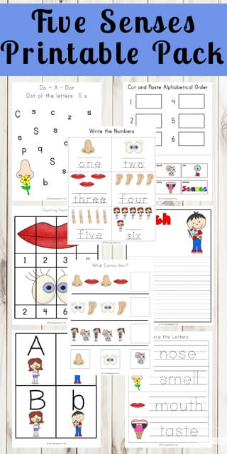 Free five senses activities for preschool printable worksheets