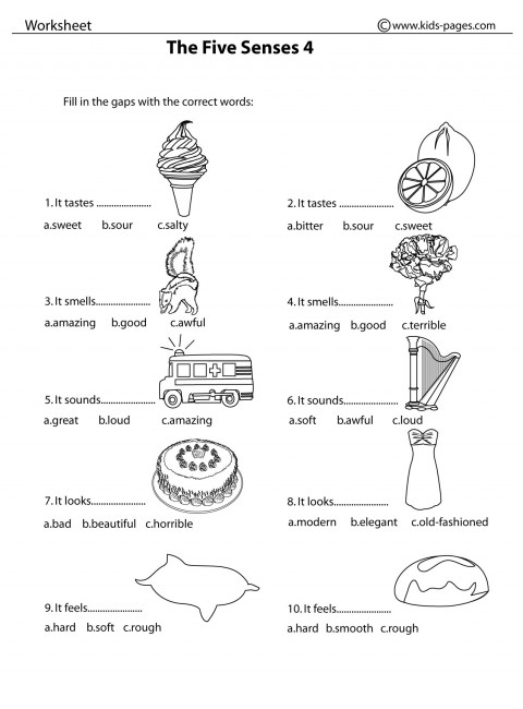 The five senses bw worksheet