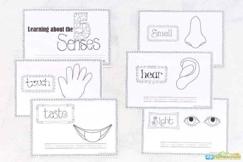 Ð ðððð my five senses story book free printable pdf