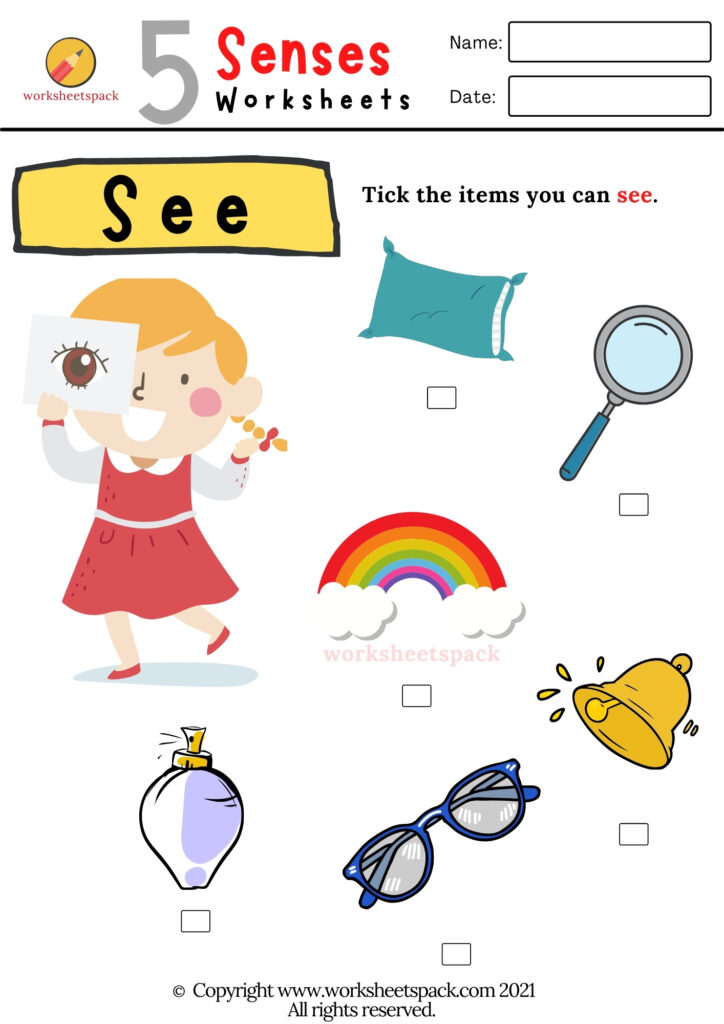 The senses worksheets