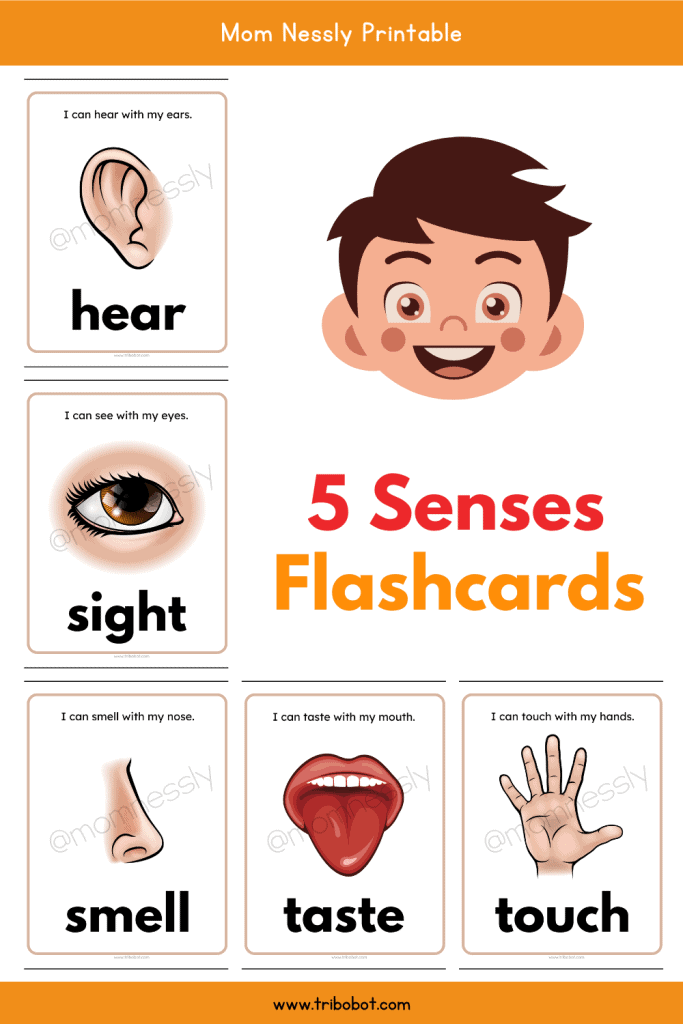 Senses flash cards