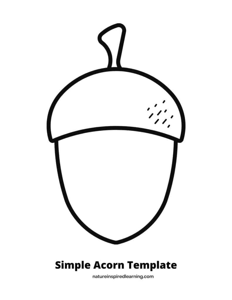 Acorn coloring pages perfect for autumn