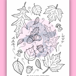 Acorn coloring page