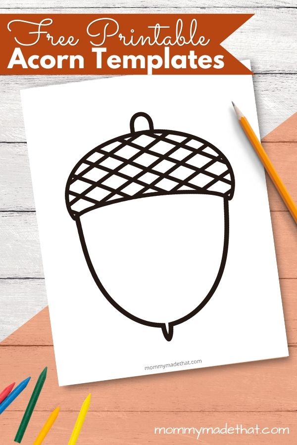 Free acorn template printables