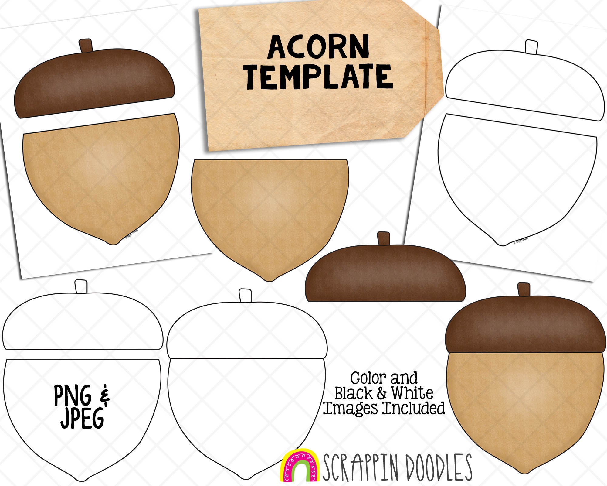 Acorn template