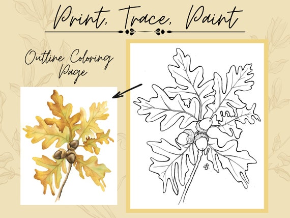 Autumn leaf acorn x digital outline coloring page printable download for coloring or painting