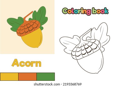 Acorn coloring book vector illustration outline stock vector royalty free