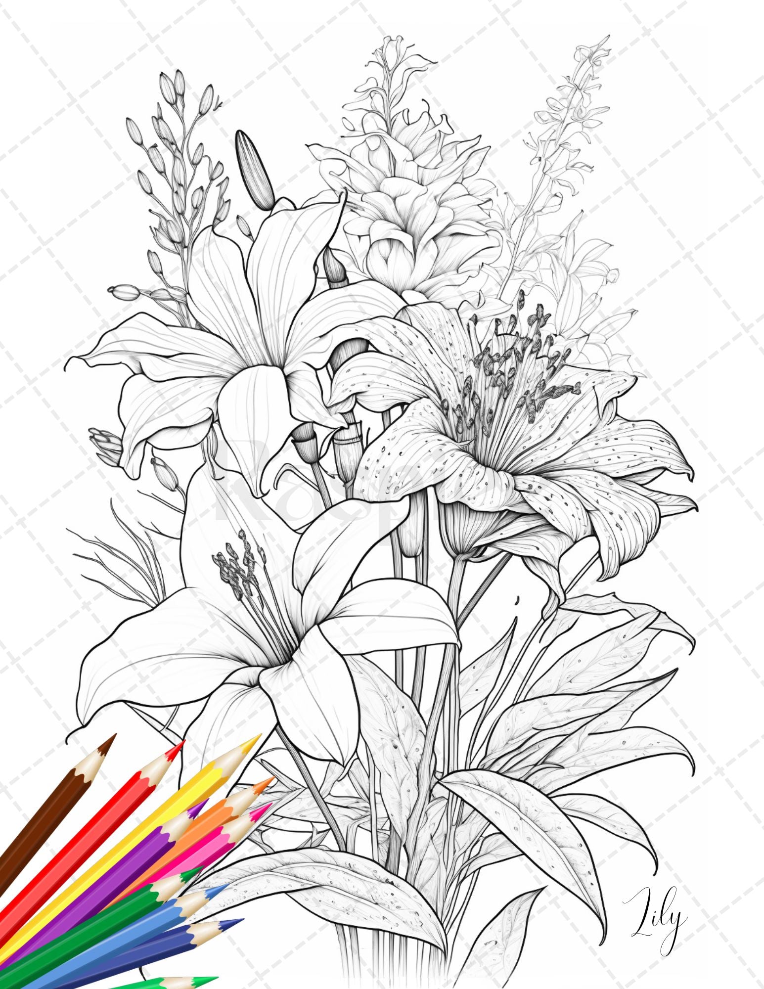 Botanical flowers printable coloring pages for adults floral grays â coloring