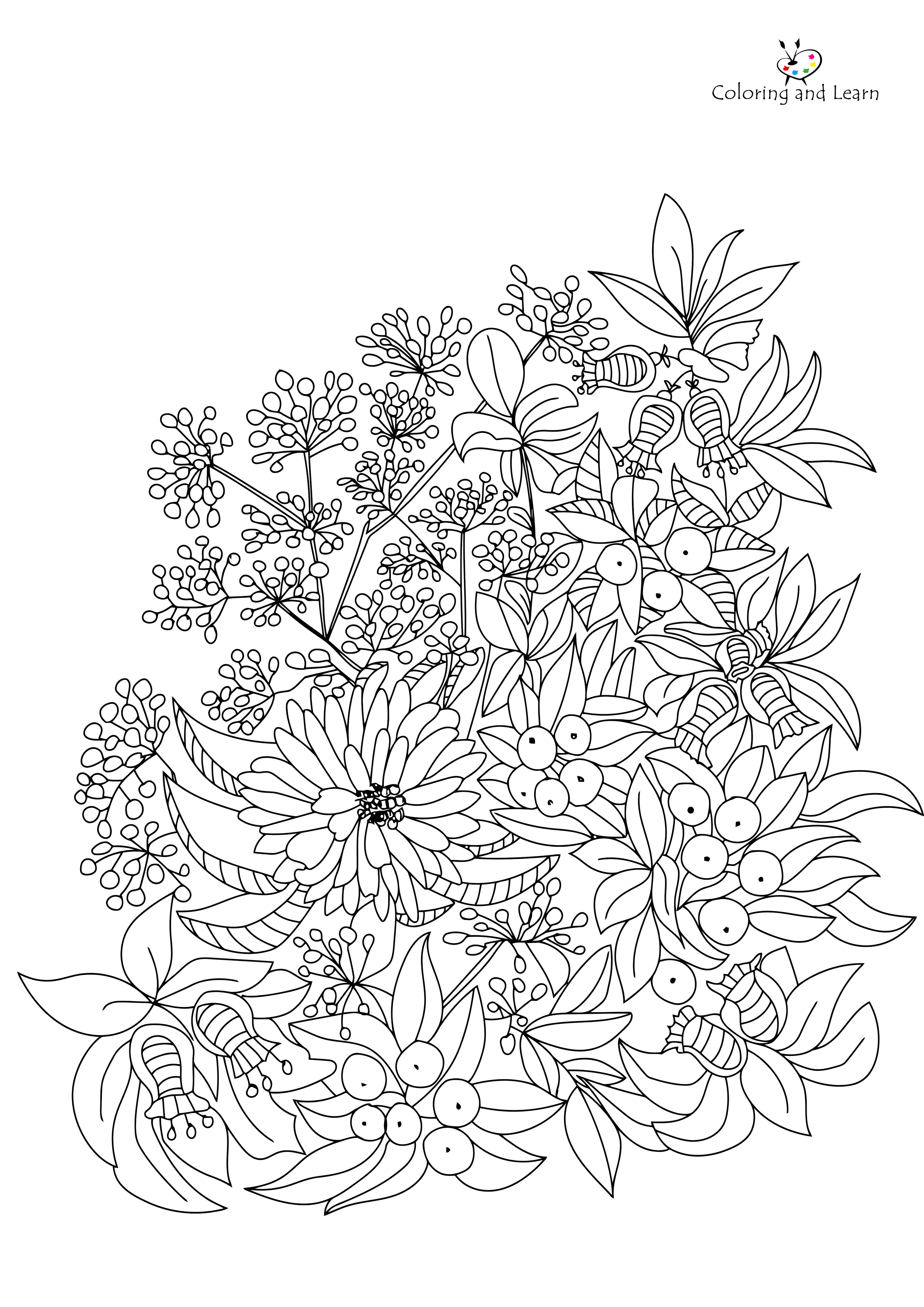 Flower coloring pages for adult