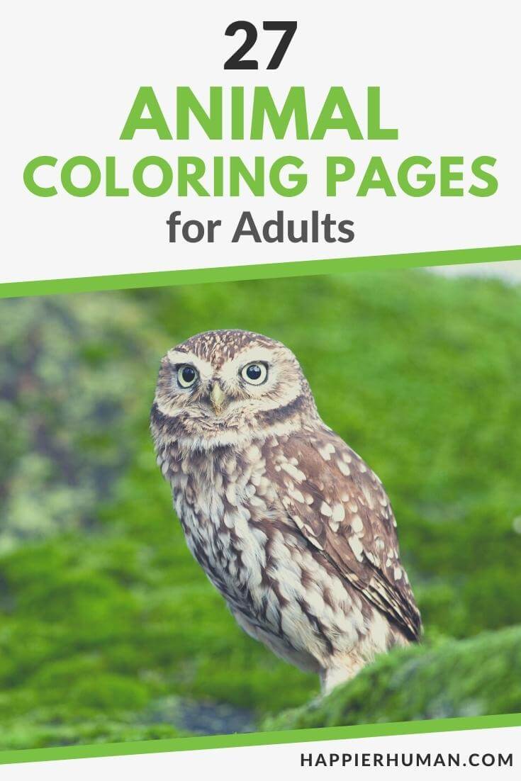 Animal coloring pages for adults in