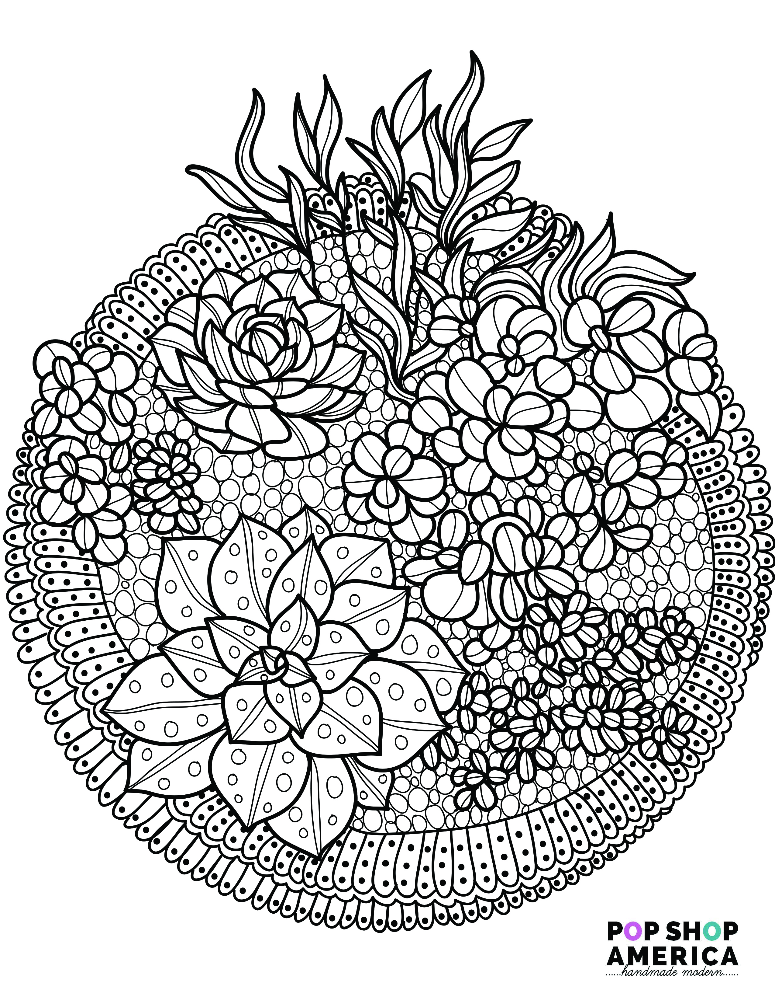 Free adult coloring book pages with succulent terrariums