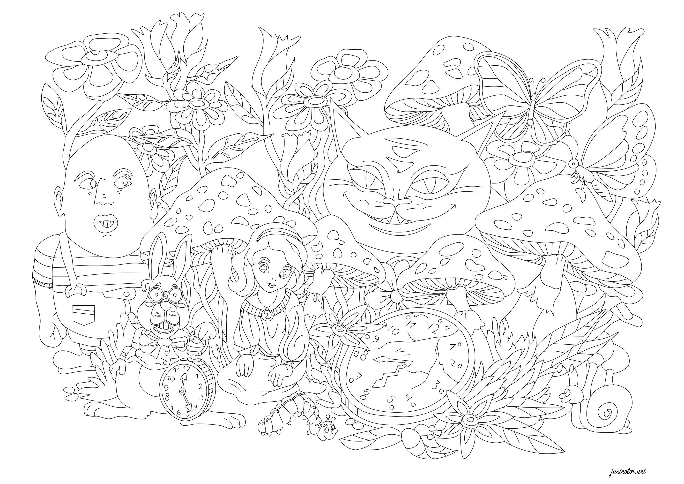 Alices adventures in wonderland