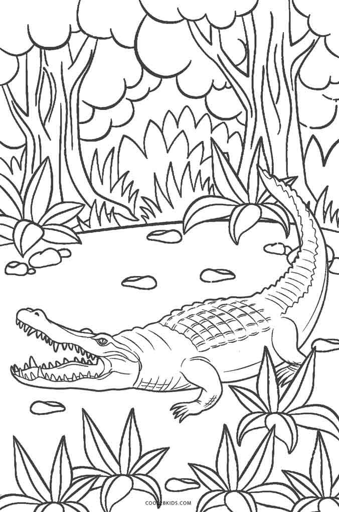 Free printable alligator coloring pages for kids coolbkids animal coloring pages coloring pages fall coloring pages