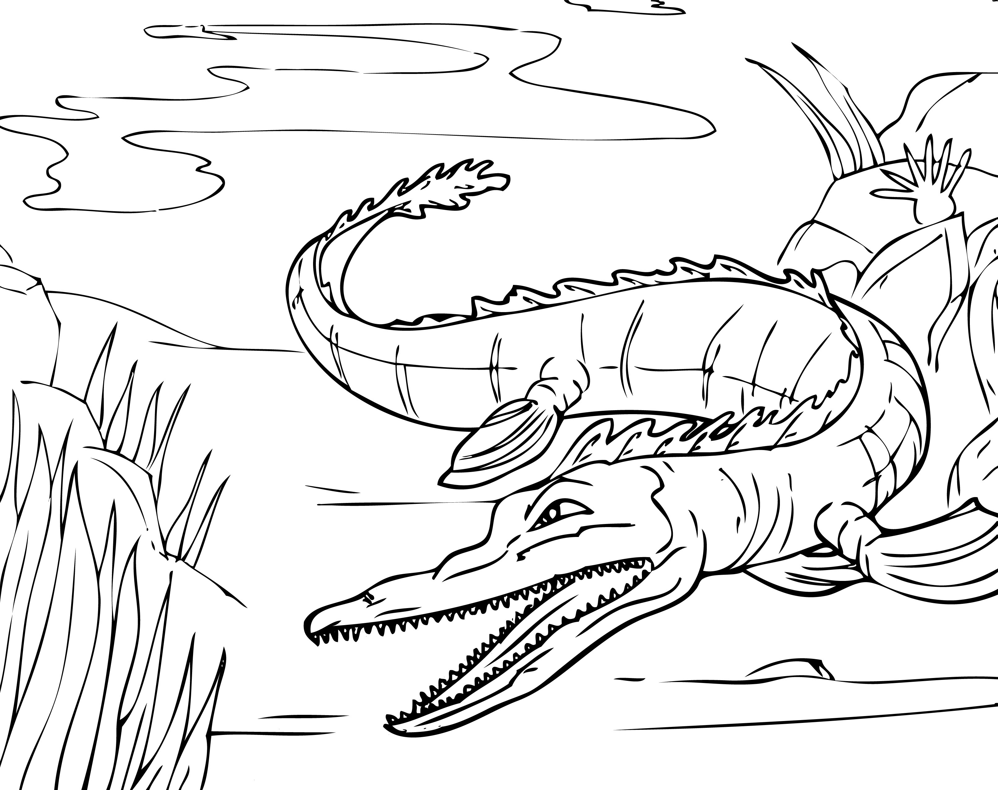 Free printable alligator coloring pages for kids