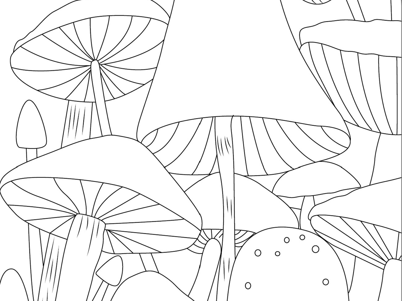 Printable coloring pages mushrooms and cup motifs