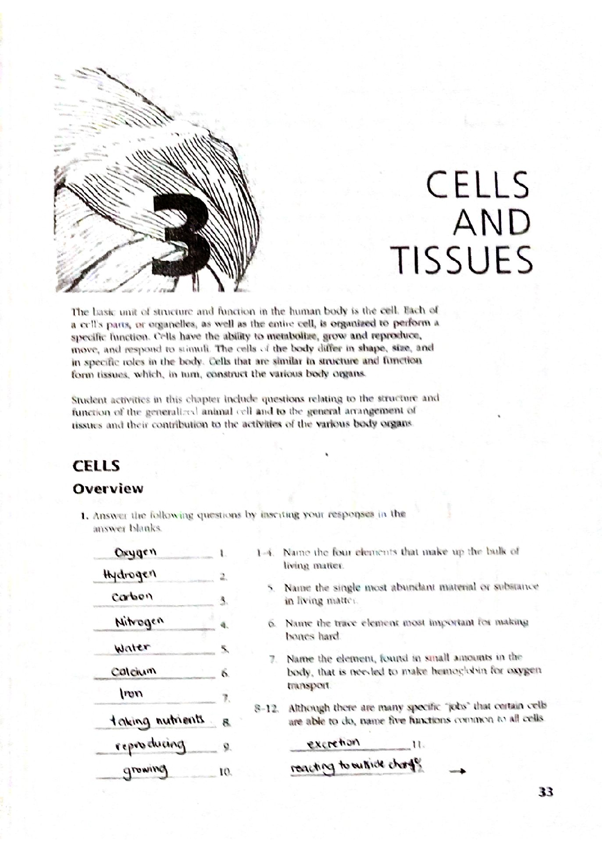 Solution answer key essentials of anatomy and physiology by elaine marieb coloring workbook chapter cells and tissues