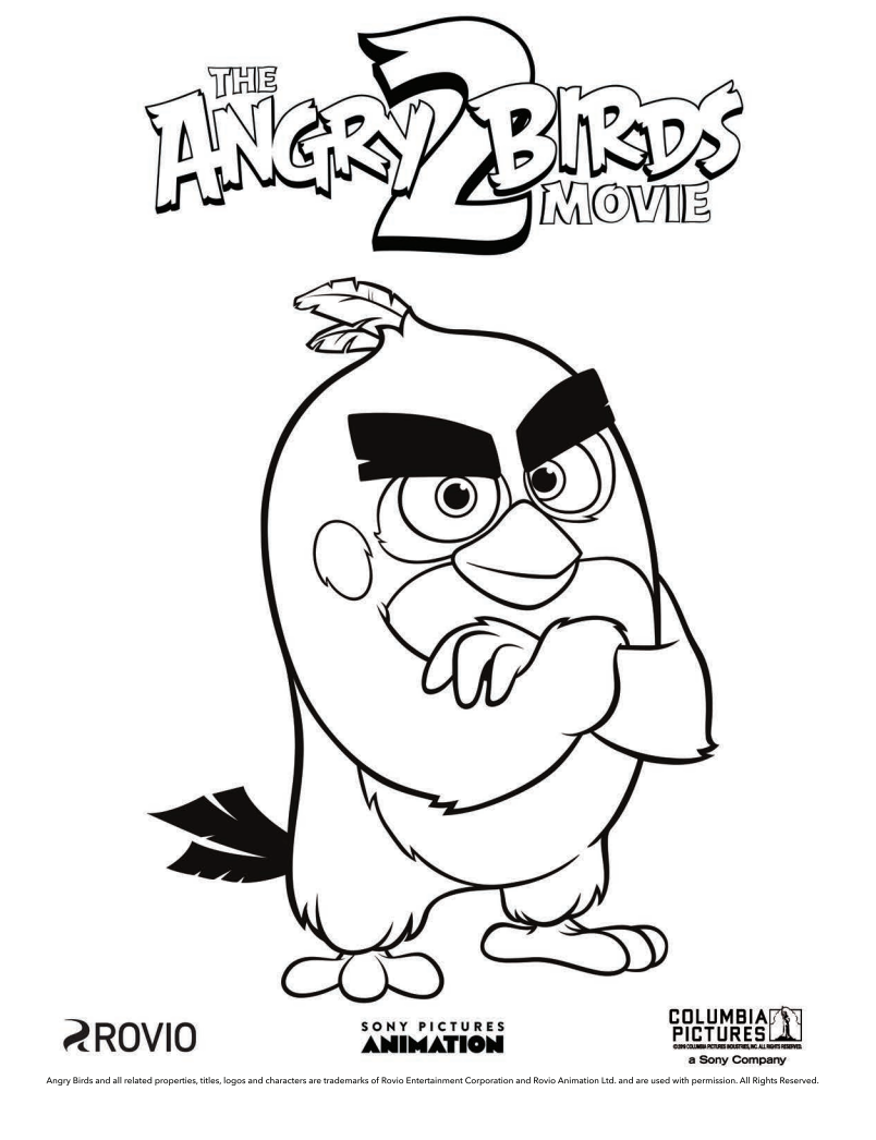 The angry birds movie printable coloring pages