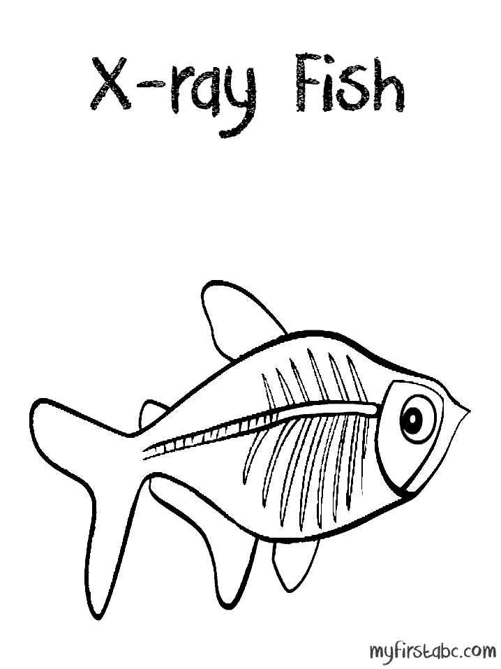 X ray fish coloring pages sketch coloring page fish coloring page coloring pages fish activities