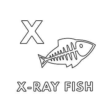 X ray coloring page png transparent images free download vector files