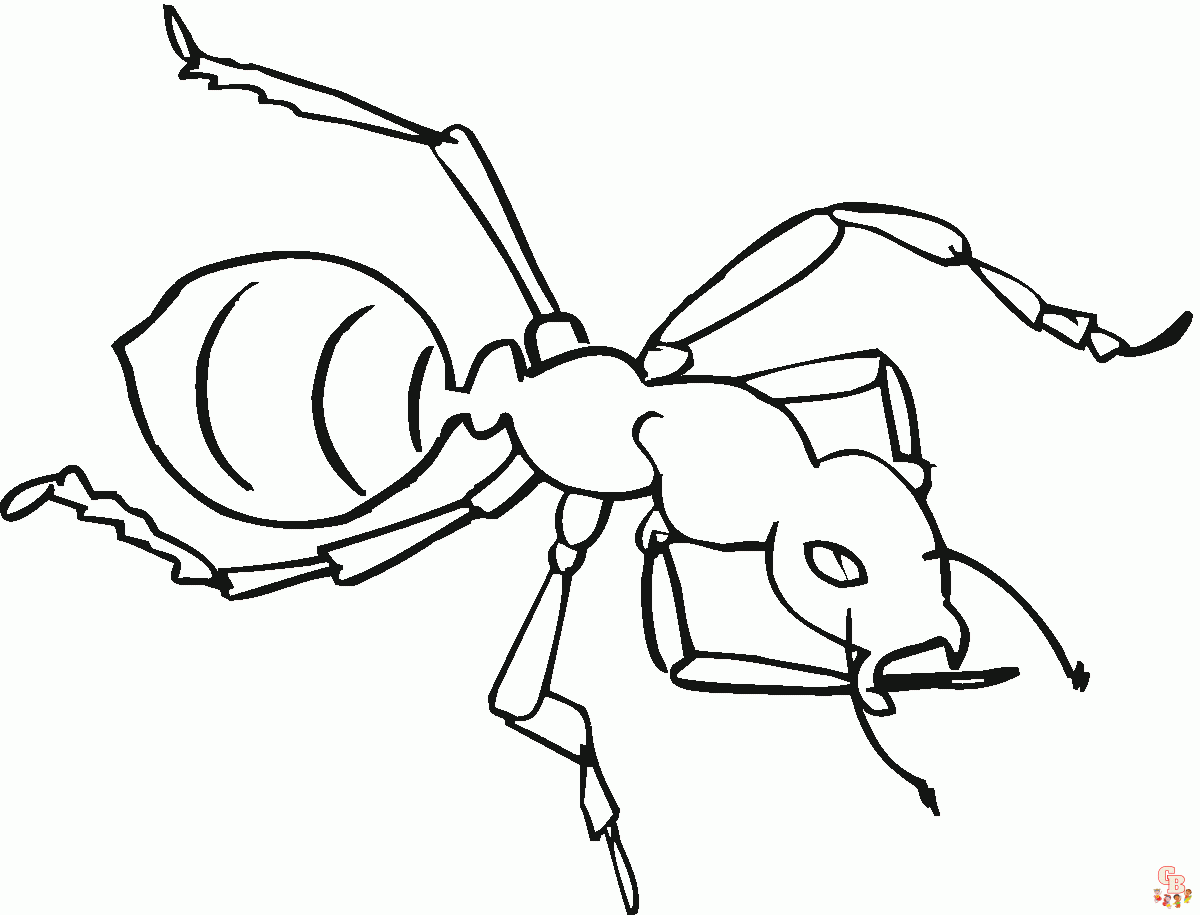 Ant coloring pages printable and free