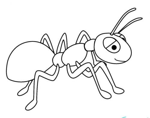 Ant coloring page turkau cartoon coloring pages coloring pages bug coloring pages