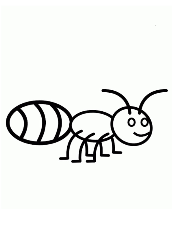 Coloring pages printable ant coloring sheet for kids
