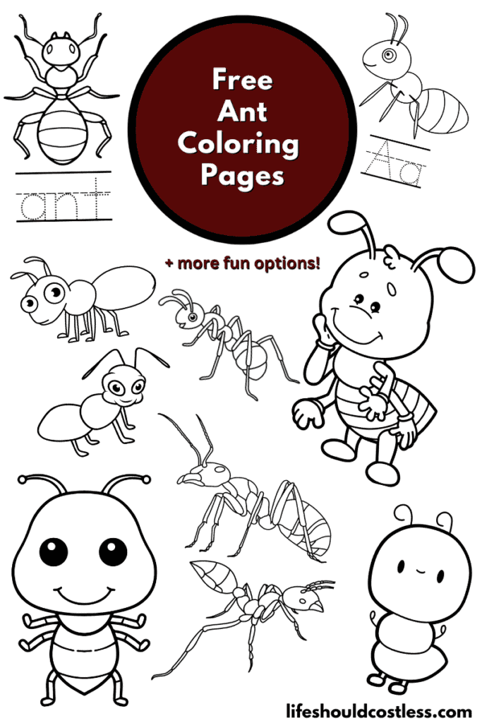 Ant coloring pages free printable pdf templates