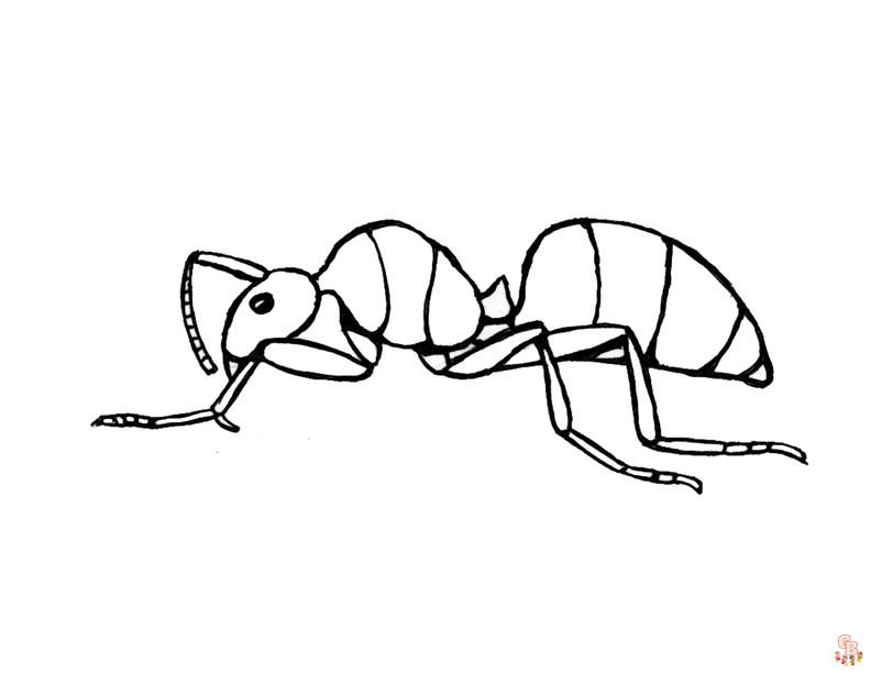 Ant coloring pages printable and free