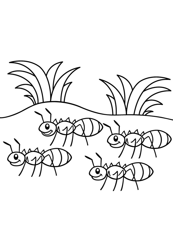 Coloring pages printable free ant coloring pages
