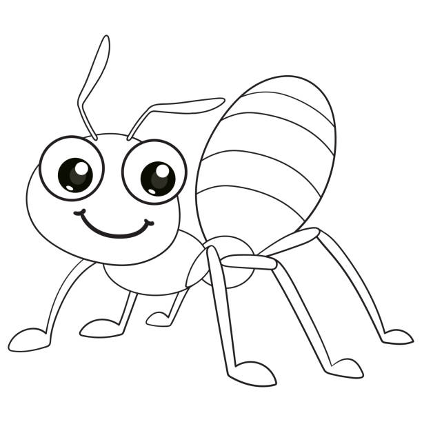 Coloring pages or books for kids cute ant cartoon black and white stock illustration