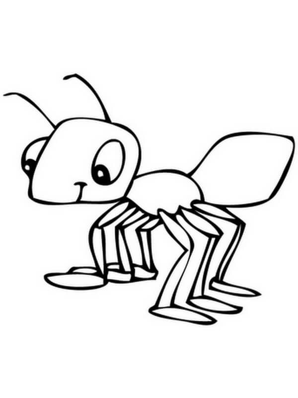 Drawing ant coloring page