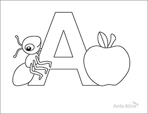 Ant coloring and activity pages for kids