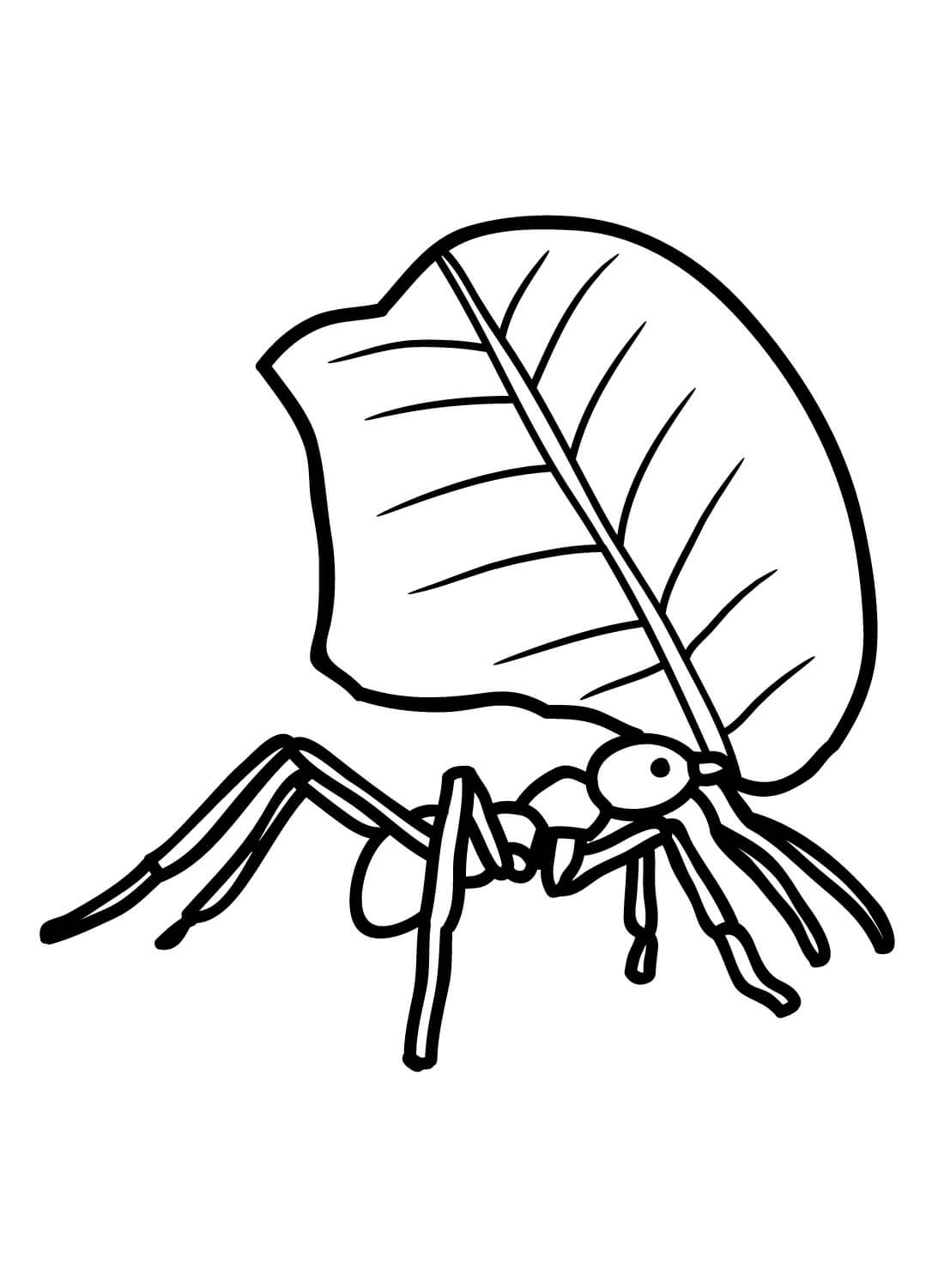 Leafcutter ant coloring page