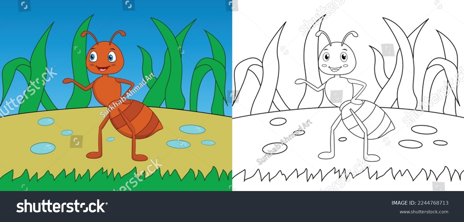 Ant coloring page images stock photos d objects vectors