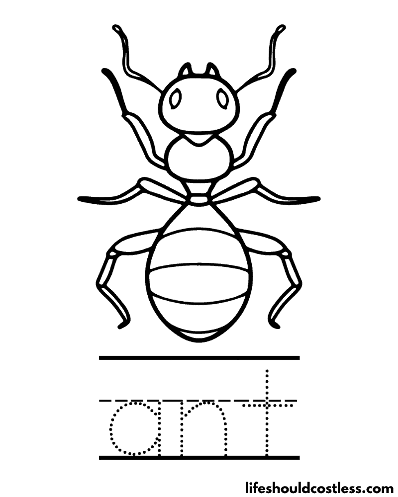 Ant coloring pages free printable pdf templates