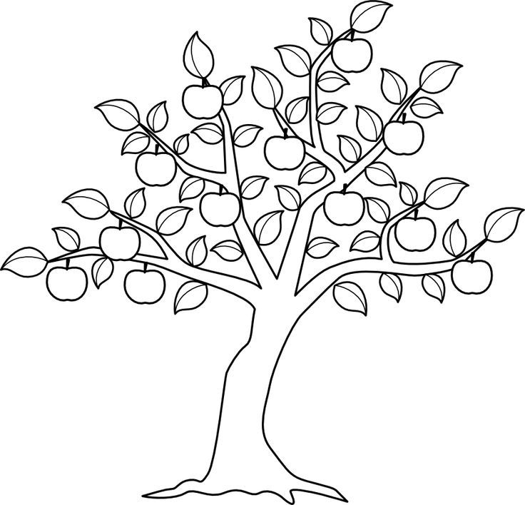 Apple tree color me tree coloring page tree drawing apple tree drawing