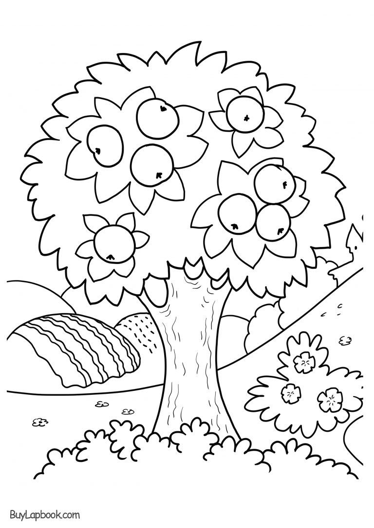 Apple tree pictures to color teachersmag seasons worksheets seasons kindergarten kindergarten worksheets