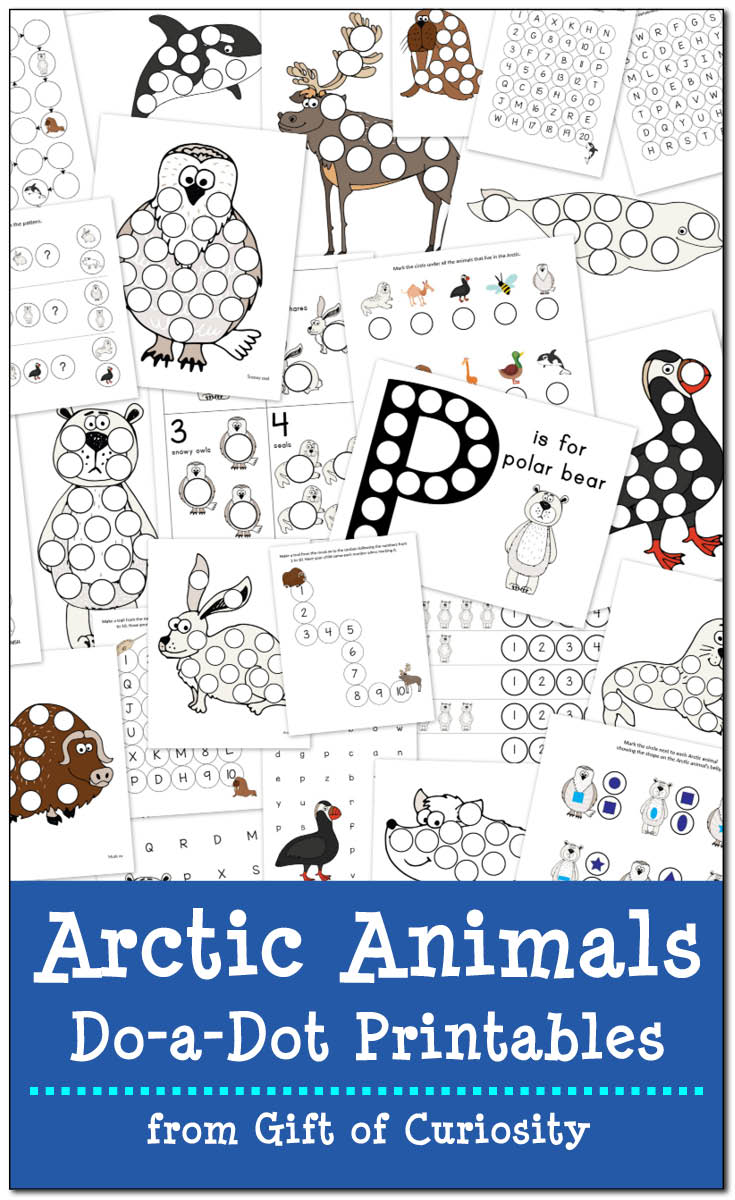 Arctic animals do