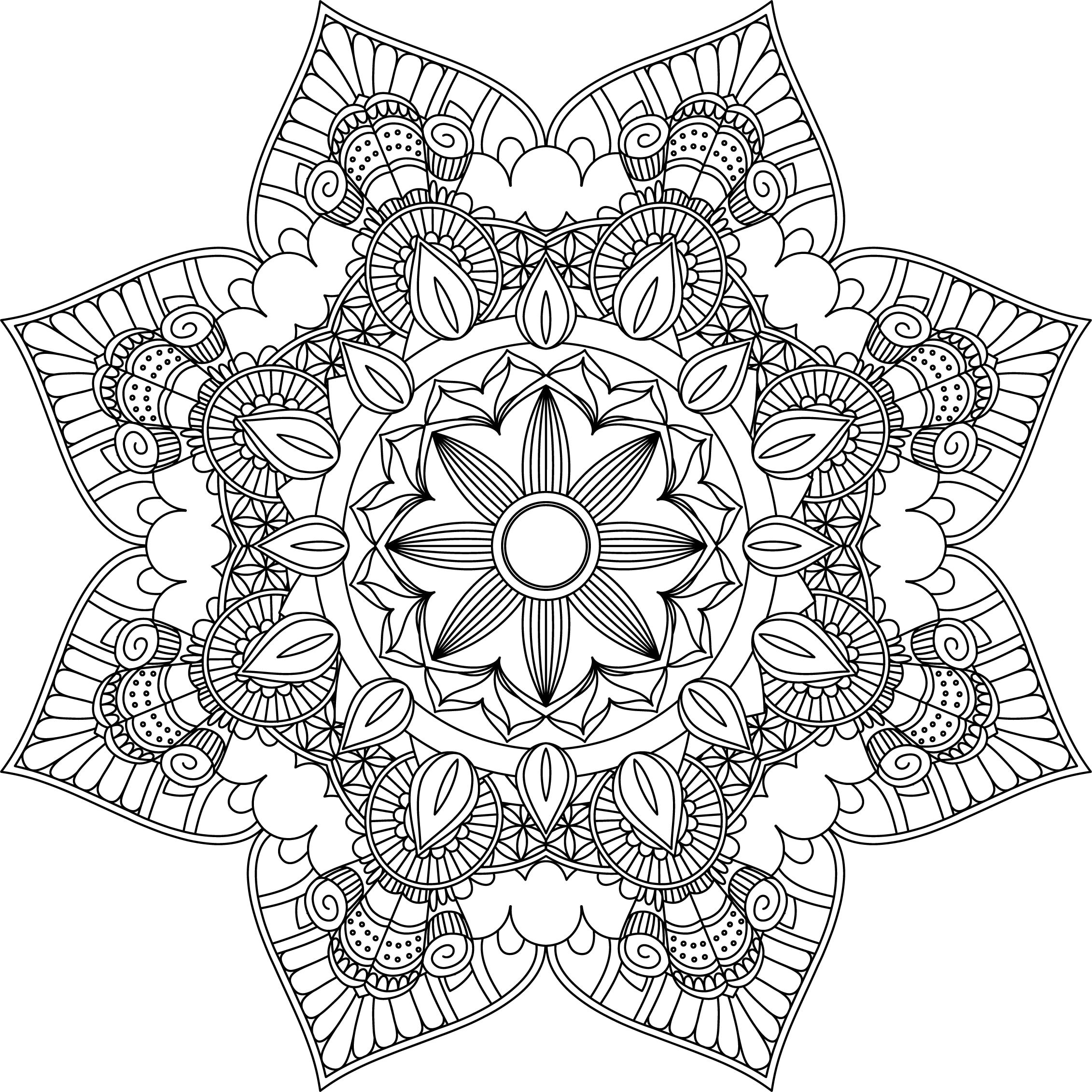 Mandala coloring pages adult coloring sheet printable coloring page grown up coloring printable art color anti