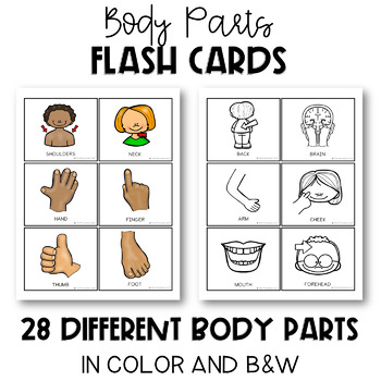 Body parts bundle flashcards no prep printables games for autism sped