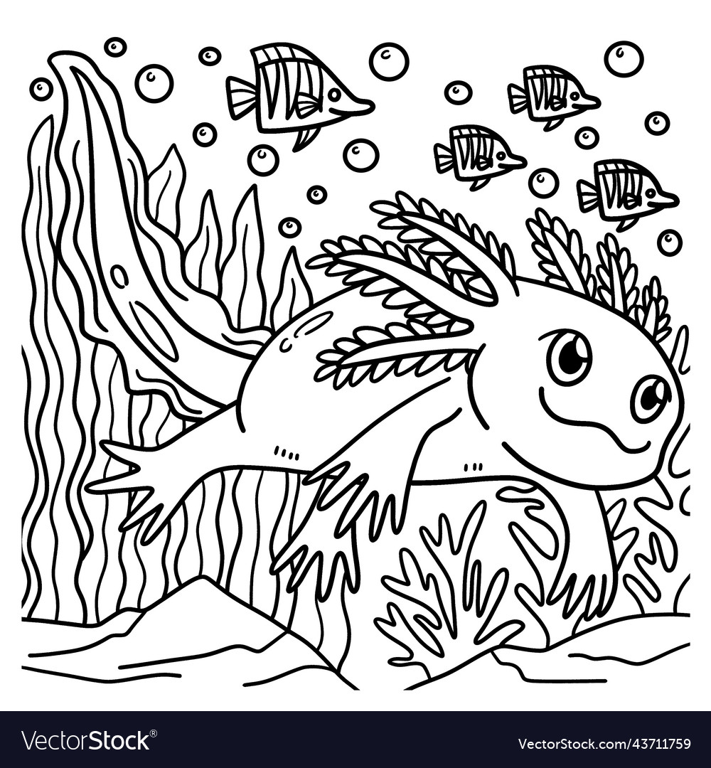 Axolotl coloring page for kids royalty free vector image