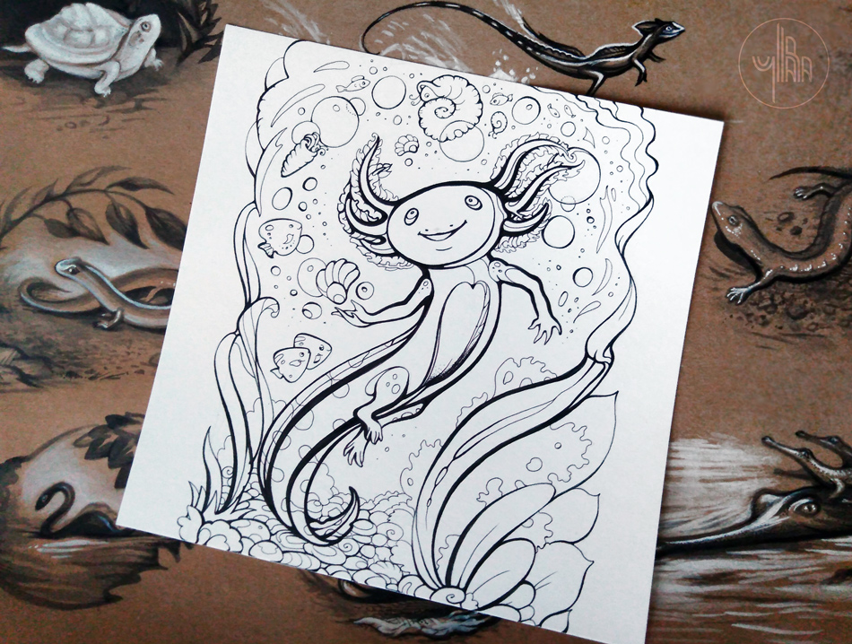 Axolotl coloring page by yullapa on