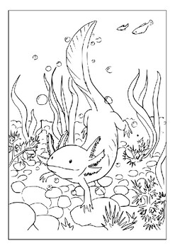 Explore the wonder of axolotls with our printable axolotl coloring pages p