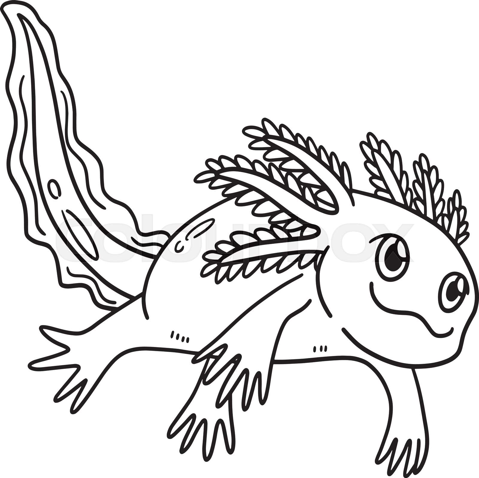 Axolotl isolated coloring page for kids stock vector