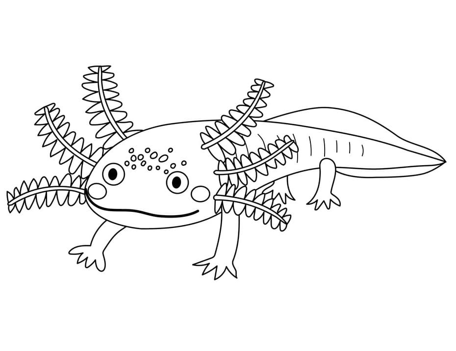 Funny axolotl worksheet