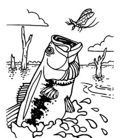 Best bass fish coloring pages eas fish coloring page coloring pages bass fishing