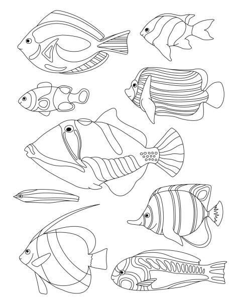 Tropical fish coloring pages stock illustrations royalty