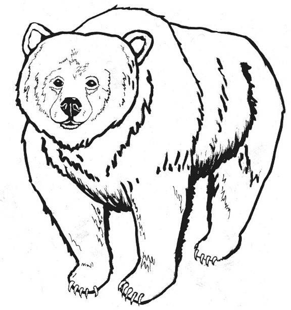 Free printable bear coloring pages for kids bear coloring pages polar bear coloring page animal coloring pages